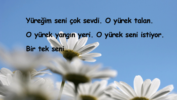 Canan Tan Sözleri