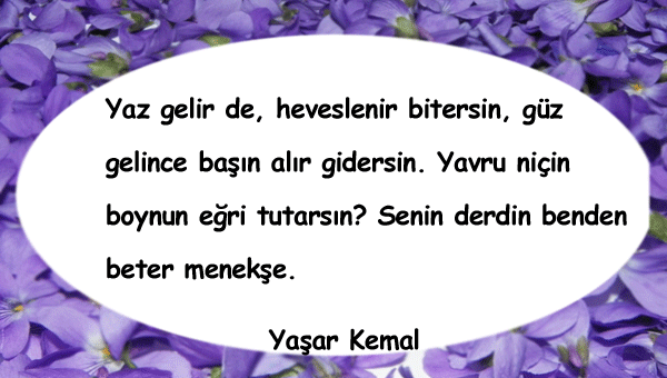 Menekşe İle İlgili Güzel Sözler