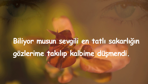 Sakarlık İle İlgili Sözler