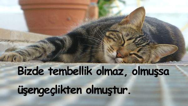 Tembellikle İlgili Komik Sözler
