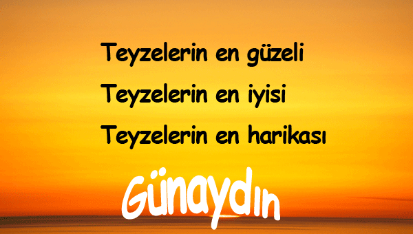 Teyzeye Günaydın Mesajları