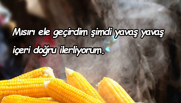 Mısır İle İlgili Güzel Sözler