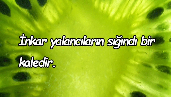 İnkar Etmekle İlgili Sözler