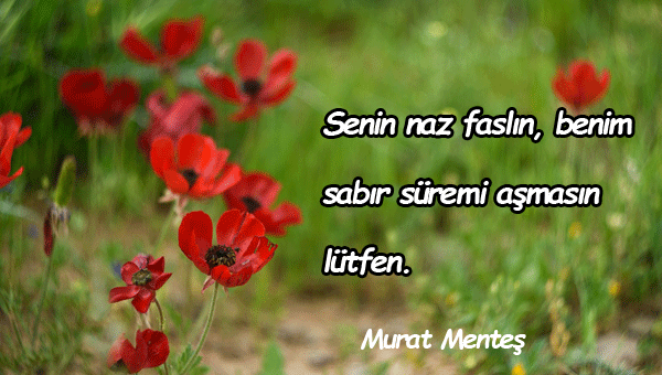 Naz İle İlgili Sözler