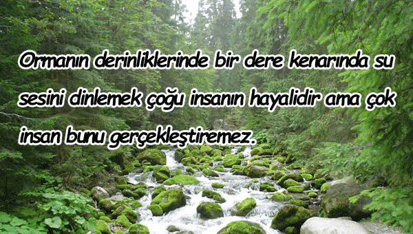 Dereyle İlgili Sözler