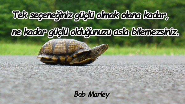 Güçlü Olmak İle İlgili Sözler