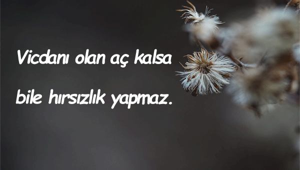 Hırsızlık İle İlgili Sözler