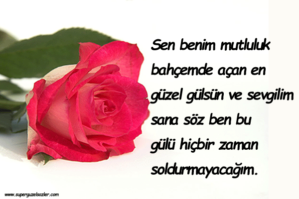 Sevgiliyi Etkileyen Güzel Mesajlar