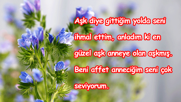 Anneye Özür Mesajları