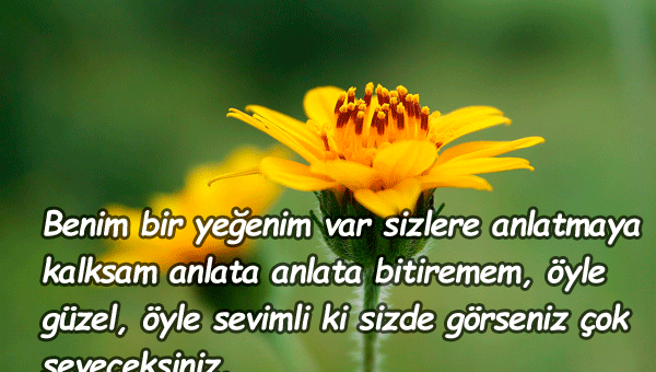 Yeğene Güzel Sözler