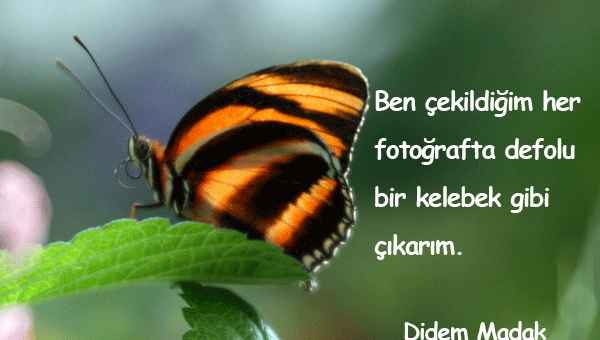 Kelebek İle İlgili Güzel Sözler