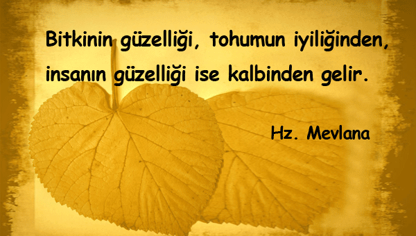 Kalp Güzelliği İle İlgili Sözler