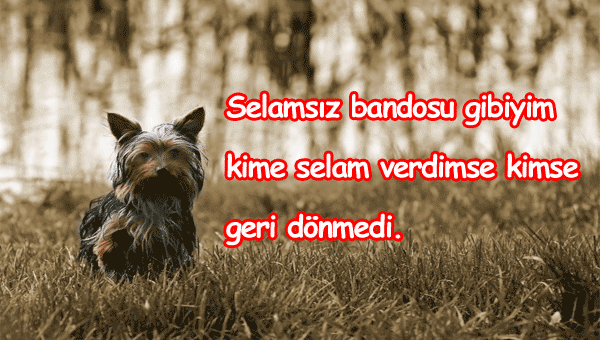 Komik Selam Mesajları