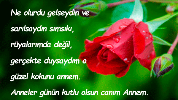 Ayrılmış Anneye Anneler Günü Mesajları