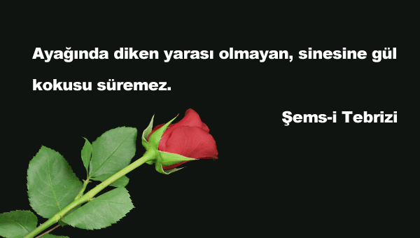 Can Alıcı Sözler