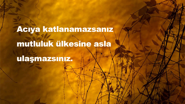 Katlanmak İle İlgili Sözler
