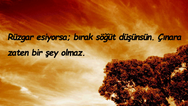 Çınarla İlgili Sözler