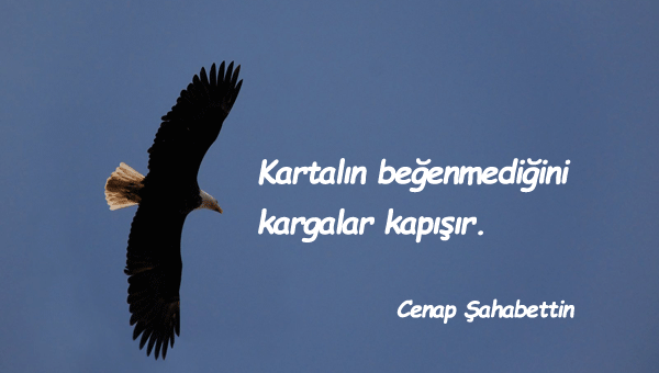 Kartal İle İlgili Sözler