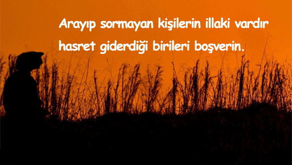 Aramak Sormak İle İlgili Sözler