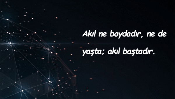 Boy İle İlgili Sözler