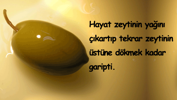 Zeytin İle İlgili Sözler