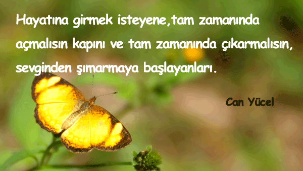 Şımarmak İle İlgili Sözler