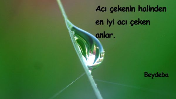 Beydeba Sözleri