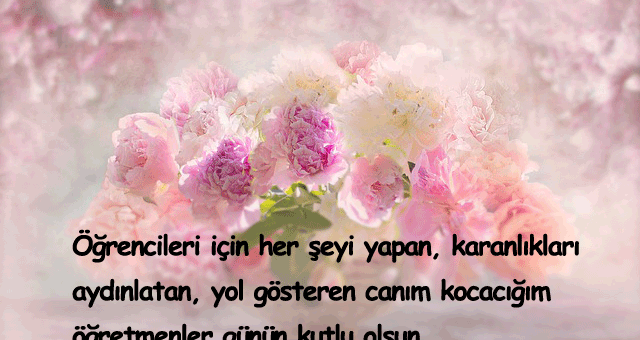 Öğretmen Eşe Öğretmenler Günü Mesajları