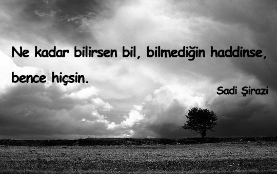 Hadsizlere Sözler