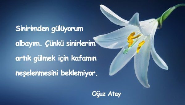 Gülmek İle İlgili Sözler