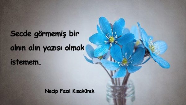 Alın Yazısı İle İlgili Sözler