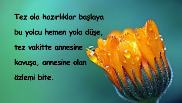 Anneye Özlem Sözleri