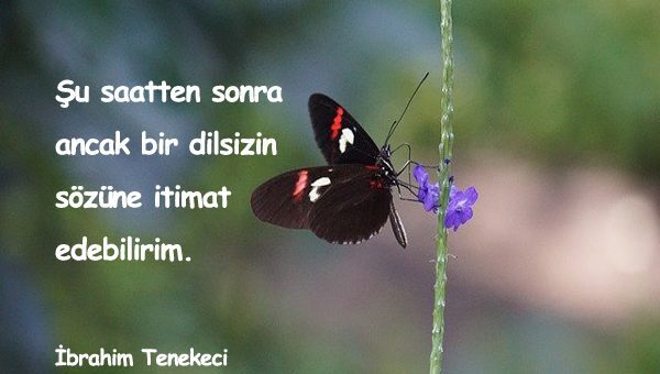 İtimat İle İlgili Sözler