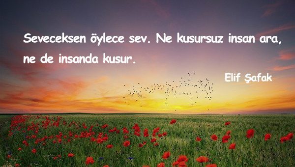 Kusur İle İlgili Sözler