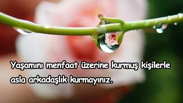 Menfaat İle İlgili Sözler