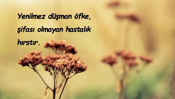 Öfke İle İlgili Sözler