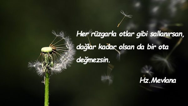 Rüzgar İle İlgili Sözler