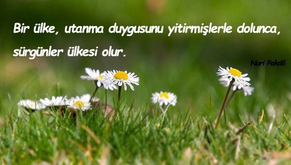 utanmak ile ilgili sözler