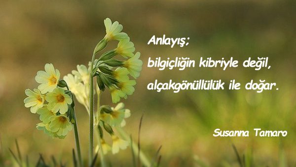 Anlayış İle İlgili Sözler