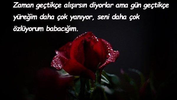 Ölen baba ile ilgili sözler