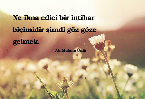 Ah Muhsin Ünlü Sözleri