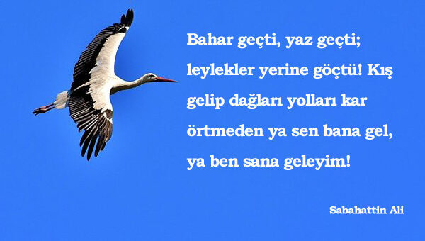 Leylekler İle İlgili Sözler