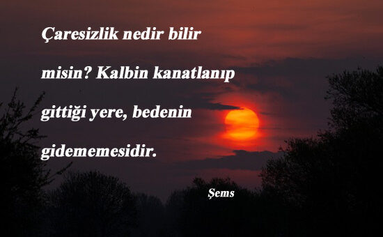 Çaresizlik İle İlgili Sözler