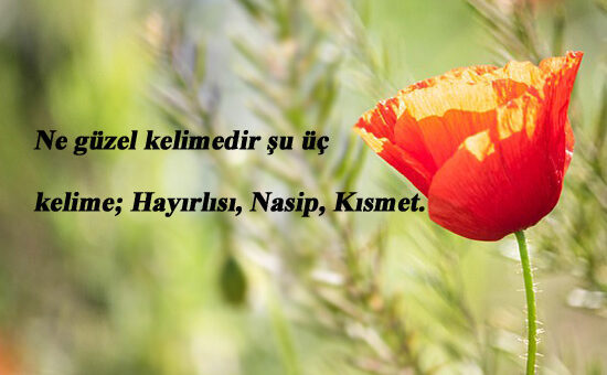 Hayırlısı İle İlgili Sözler