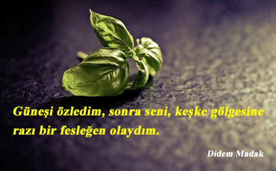 Keşke İle İlgili Sözler