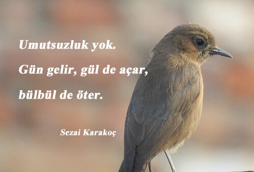 Bülbül İle İlgili Sözler