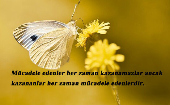Mücadele İle İlgili Sözler