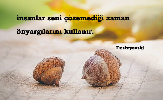 Dostoyevski Sözleri