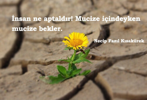 Mucize İle İlgili Sözler