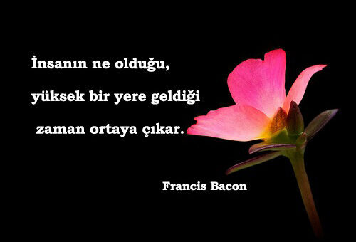Francis Bacon Sözleri